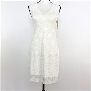 Arianne Aisha Mini Lace Dress in Ivory - Small